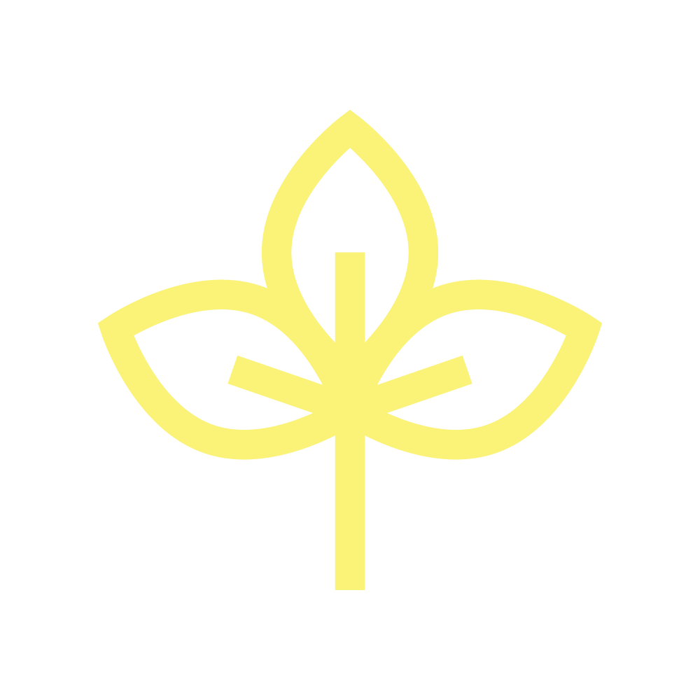 Ragweed Moderate